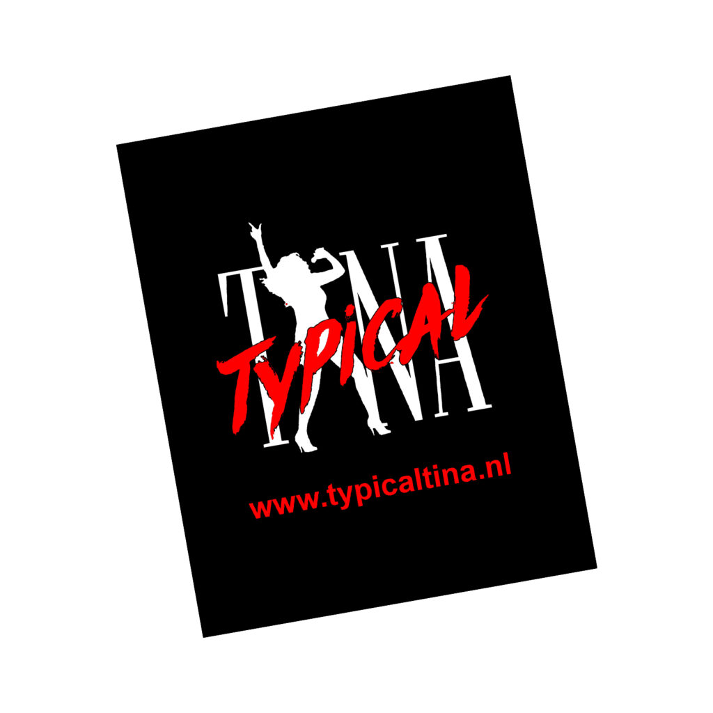 Vinyl Stickers